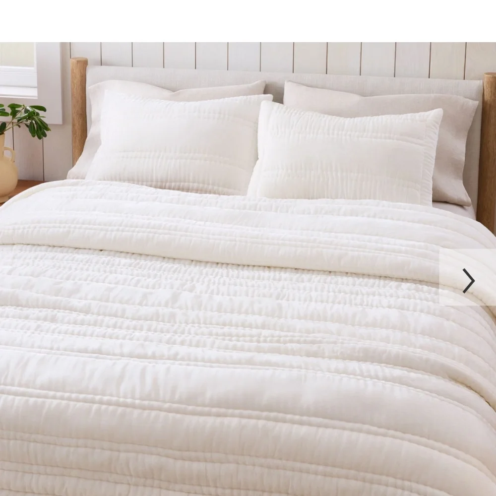 Brand New, never used West Elm King Comforter and Shams!